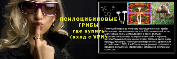 гидра Алзамай