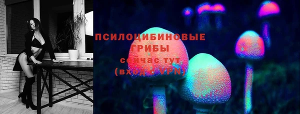 MDMA Premium VHQ Пролетарск