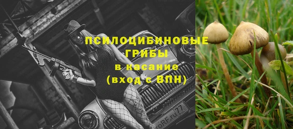 гидра Алзамай
